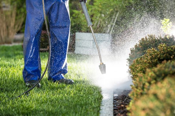 Curb Cleaning in Jackson