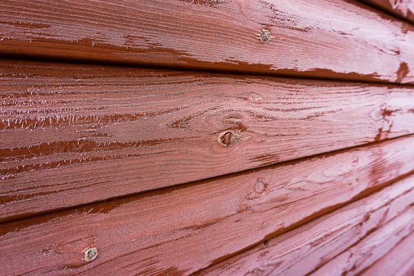 Cedar Siding Cleaning in Jackson