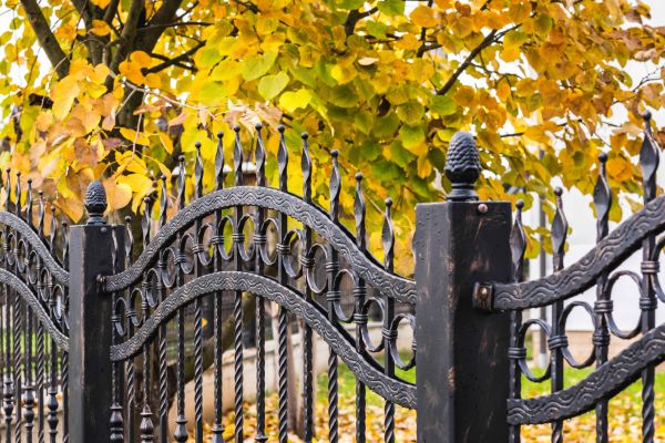 Wrought Iron Fence Washing in Jackson