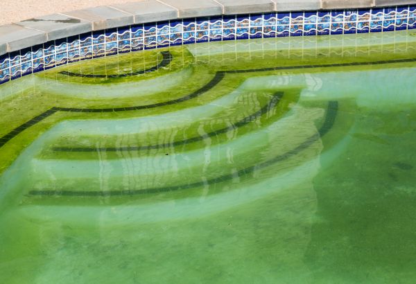 Pool Deck Algae Removal in Jackson