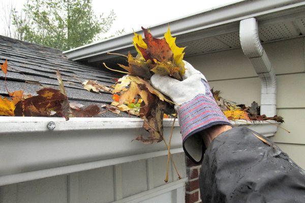 Eaves Cleaning in Jackson