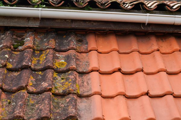 Industrial Roof Cleaning in Jackson