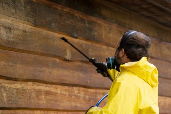 Cedar Siding Washing in Jackson