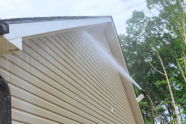 Siding Cleaning Service in Jackson