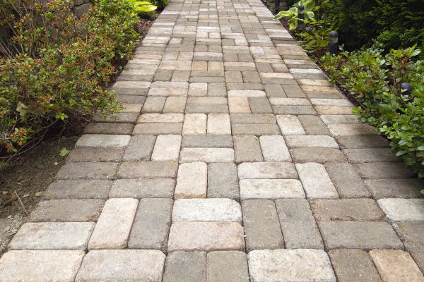 Paver Walkway Cleaning in Jackson