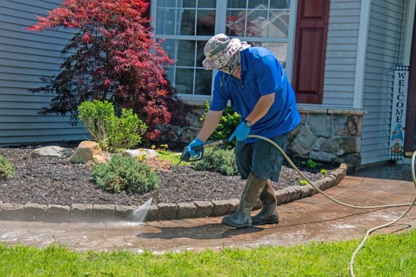 Brick Walkway Cleaning in Jackson