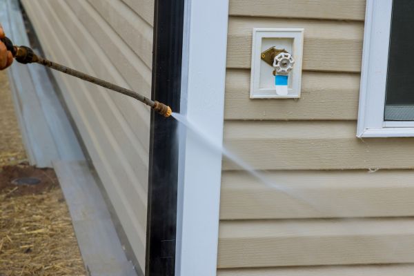 Vinyl Siding Cleaning in Jackson